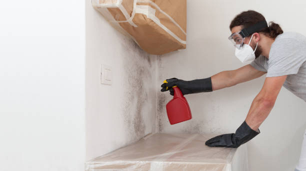 Professional Bathroom Mold Removal technician working in Louisburg, NC
