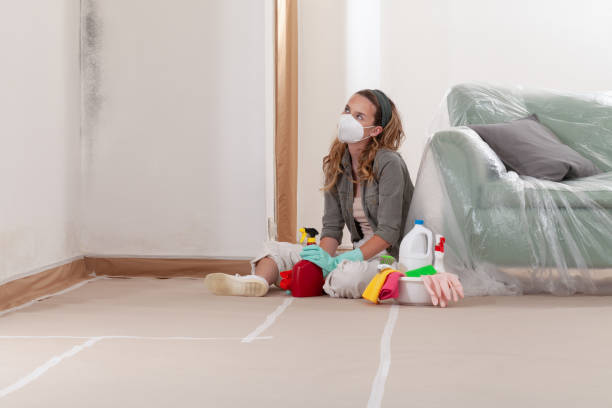 Reliable Bathroom Mold Removal contractor in Louisburg, NC by WQB Mold Removal